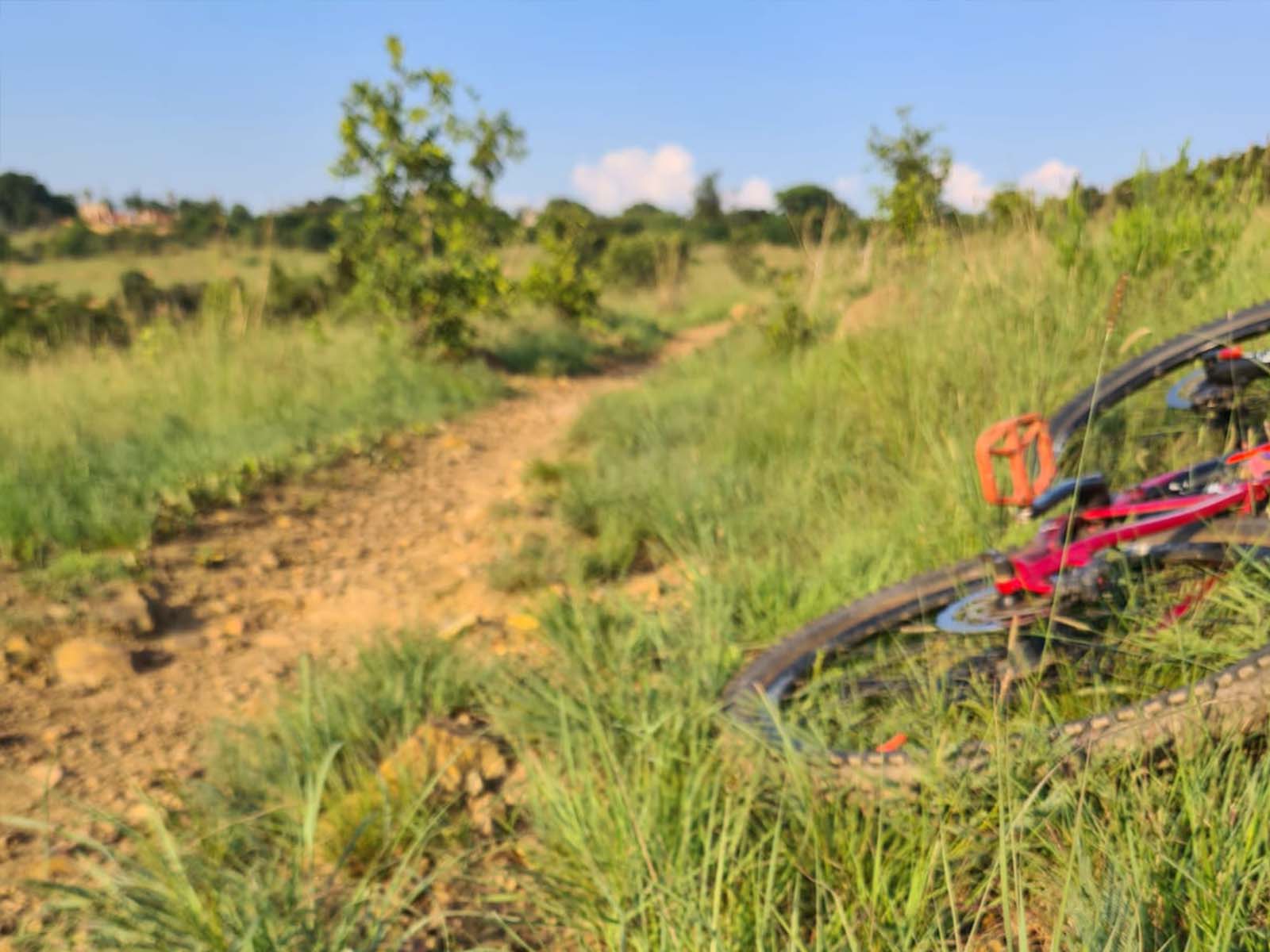 Mountain bike at a bike park